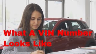 What a VIN Number Looks Like amp How do you find it on a vehicle  A simple guide [upl. by Lanahtan280]