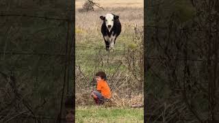 Sweet Moment Turns Hilarious My Sons Unexpected Words About a Calf [upl. by Valerle]