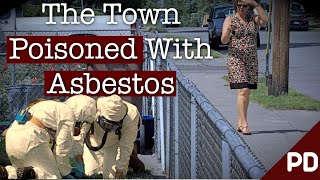 Toxic Air The Libby Montana Asbestos Disaster  Short Documentary  Plainly Difficult [upl. by Teddy]