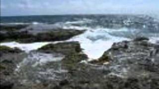 Cliffs Of Baccalieu  sung by Stan Rogers [upl. by Ellennoj591]