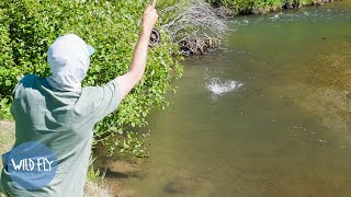 Solo Dry Fly Fishing amp Camping Utah [upl. by Esor]