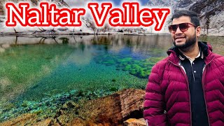 Naltar Valley  Satrangi Lake  Blue Lake  Pari Lake  Pakistan  October 2024 [upl. by Aerdnuahs]