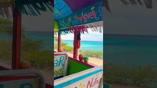 Aruba’s Cultural Island Tour with Kukoo Kukunu 🇦🇼 aruba adventure travel ytshorts shorts [upl. by Ugo]