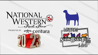 Open Boer Goat Show  NWSS 2023 [upl. by Aloin471]