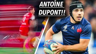 Antoine Duponts DOMINATING 202324 Highlights So Far [upl. by Einnaf503]