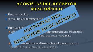 AGONISTAS DE LOS RECEPTORES MUSCARINICOS [upl. by Figge482]