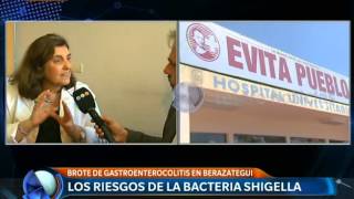 Brote de gastroenterocolitis todo sobre la bacteria Shigella  Telefe Noticias [upl. by Lerner]