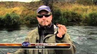 STEELHEAD FISHING DESCHUTES WITH KELLY GALLOUP [upl. by Gowon]