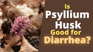 Psyllium Husk for Diarrhea  Does it Help or Cause Diarrhea [upl. by Erlandson]