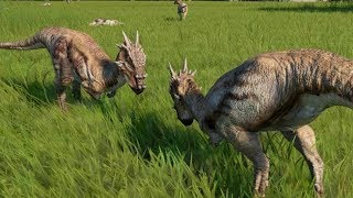 Dracorex VS Dracorex  Jurassic World Evolution [upl. by Attoynek955]