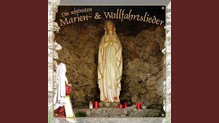 Drei Marienlieder Maria Dich lieben ist allzeit mein Sinn  Meerstern ich Dich grüsse [upl. by Trovillion]