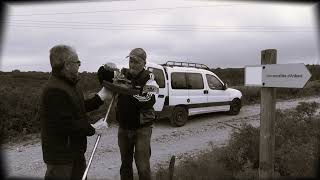 Conques sur Orbiel quotLes capitellesquot Claude Gironis 2024 [upl. by Aileda]