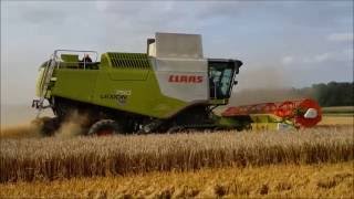 Weizen Dreschen 2016 mit Claas Lexion 750 Terra Tarc [upl. by Edi]