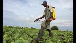 Best Insecticide and Fungicide for Crops and how they are use Best Protective Chemicals for Crops [upl. by Eirruc440]