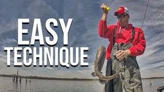 Fall Catfishing How To Catch Catfish Fast [upl. by Phylis]