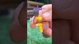 Técnica de índio para colocar milho 🌽 no anzol 😱 pesca anzol shorts tools dica [upl. by Aneetsyrk399]