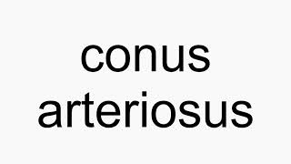 How to pronounce conus arteriosus [upl. by Ailev984]