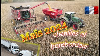 Moissons maïs 2024 avec les chenilles transbordeur et camions [upl. by Durer638]