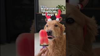 Watermelon Pupsicle for dogs recipe [upl. by Rossy]