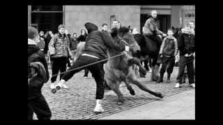 Smithfield Horsefair Dublin Ireland  gerry smith photography [upl. by Yanel]