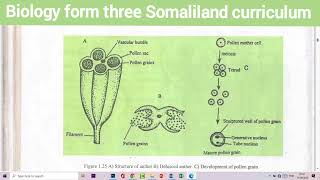 Formation of pollen grains Biology form 3 afsomali  ustaad Abdimajiid Netka [upl. by Dana522]