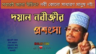 দয়াল নবীজীর প্রশংসা  Nobijir Jibon Kahini  Maulana Abu Sufian Al Qadri Waz [upl. by Nylhtiak]