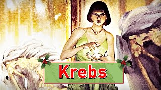 Krebs 🎁 Tarot Prognose Dezember 2024  Liebe Beruf [upl. by Ysdnyl]