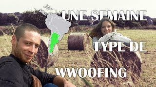 Une semaine de wwoofing en Patagonie [upl. by Yenttihw707]