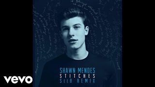 Shawn Mendes  Stitches SeeB Remix  Official Audio [upl. by Ahsrats]