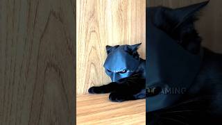 Catman💀 fypシ゚ trending viralvideo grow newtrend edit [upl. by Marleah]