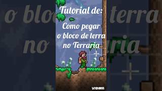 O tutorial mais inútil de todo o Terraria terraria [upl. by Nylhsoj]