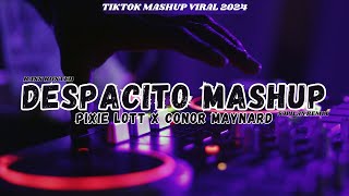 DESPACITO  CONOR MAYNARD amp PIXIE LOTT SAPILAN REMIX TIKTOK VIRAL 2024 [upl. by Gove]