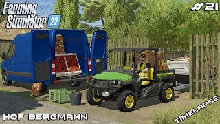 Selling VEGETABLES grown in our ALLOTMENT GARDEN  Hof Bergmann  Farming Simulator 22  Episode 21 [upl. by Yaluz402]