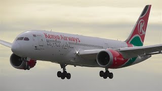 STRIKING  Kenya Airways 7878 Landing at London Heathrow  5YKZA [upl. by Ardnoet662]