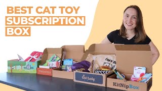 Best Cat Toy Subscription Box We Tried Them All [upl. by Nerrol]