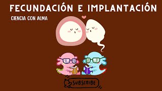 FECUNDACIÓN E IMPLANTACIÓN DEL EMBRIÓN HUMANO [upl. by Yecam]