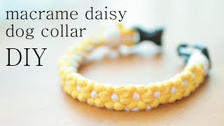 DIY 마크라메 강아지 목줄 만들기 Ι macrame daisy dog collar [upl. by Arden]