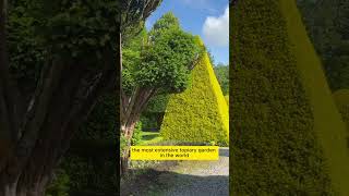 The Worlds Oldest Topiary Garden At Levens Hall 🌲 [upl. by Nnaeiluj]