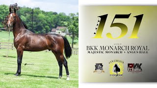 Majestic Monarch colt  East Coast Standardbred Yearling Sale Lot 151 [upl. by Ikiv625]