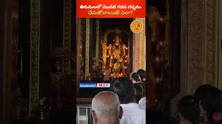 Tirumala Modhati Gadapa Darshanam [upl. by Teerprug]