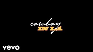 LANY  cowboy in LA Lyric Video [upl. by Lenra854]