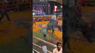 horse games world winner viralshorts trendingvideo viralvideo [upl. by Harvey338]