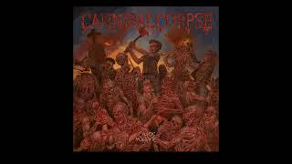 Cannibal Corpse  7 Fracture and Refracture  Chaos Horrific 2023 deathmetal [upl. by Attennhoj]