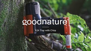 Goodnature A24 Trap With Chirp [upl. by Rochette]