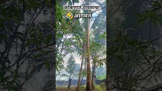 कोकणात पावसाचा आगमन🌧️🤣 पावसाळी जीवन  Pavsala  monsoon  pavsala shorts nature kokan [upl. by Lraed]