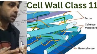 cell the unit of Life 01Cell Cell Theory Class 11neetBiology [upl. by Darin378]