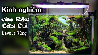 KINH NGHIỆM vào RÊU và CÂY CỐI cho Layout RỪNG  Moss and Trees on FOREST Layout kenhthuysinh p33 [upl. by Anrev617]