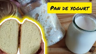 Pan de masa madre y yogurt natural Fácil rico 😋 y esponjoso Sourdough [upl. by Evangelist434]