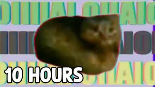 OIIAOIIIIA 10 HOURS [upl. by Olumor]