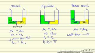 Reverse Osmosis [upl. by Eoz]